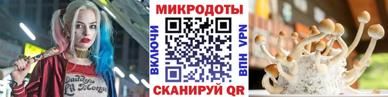 Псилоцибиновые грибы ЛСД  как найти закладки  blacksprut ССЫЛКА  Лосино-Петровский 